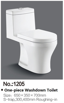  Normal Style Economic Washdown Toilet