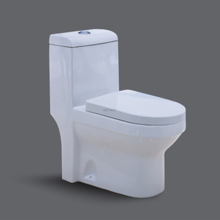 Sanitaryware Bathroom Ceramic One-Piece P-Trap Toilet Washdown Flushing