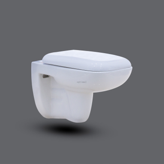 Sanitary Ware Cistern Hidden Ceramic Washdown Wall Hung Toilet Wc for Bathroom